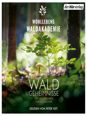 cover image of Waldgeheimnisse